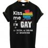 Irish LGBT Kiss me i’m gay or irish or drunk or whatever T shirt BC19