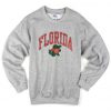 florida gators sweatshirt BC19