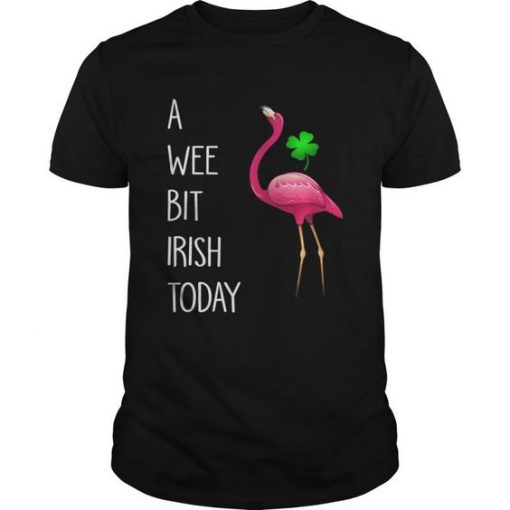 A Wee Bit Irish Today T-Shirt EL01