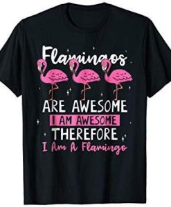 Flamingos Are Awesome T-Shirt EL01