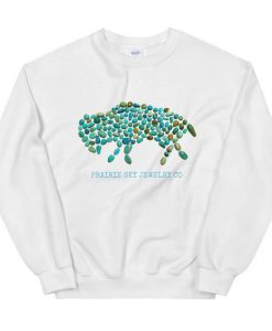 Turquoise buffalo sweatshirt N22NR