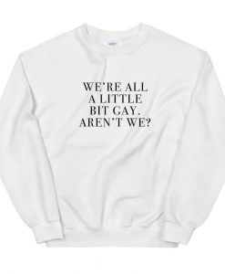 We're All A Little Bit Gay Sweatshirt AL30A1