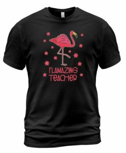 flamazing teacher T-shirt